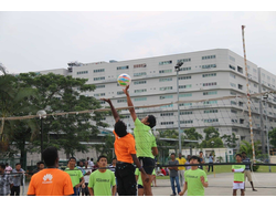 Volleyball Action 2